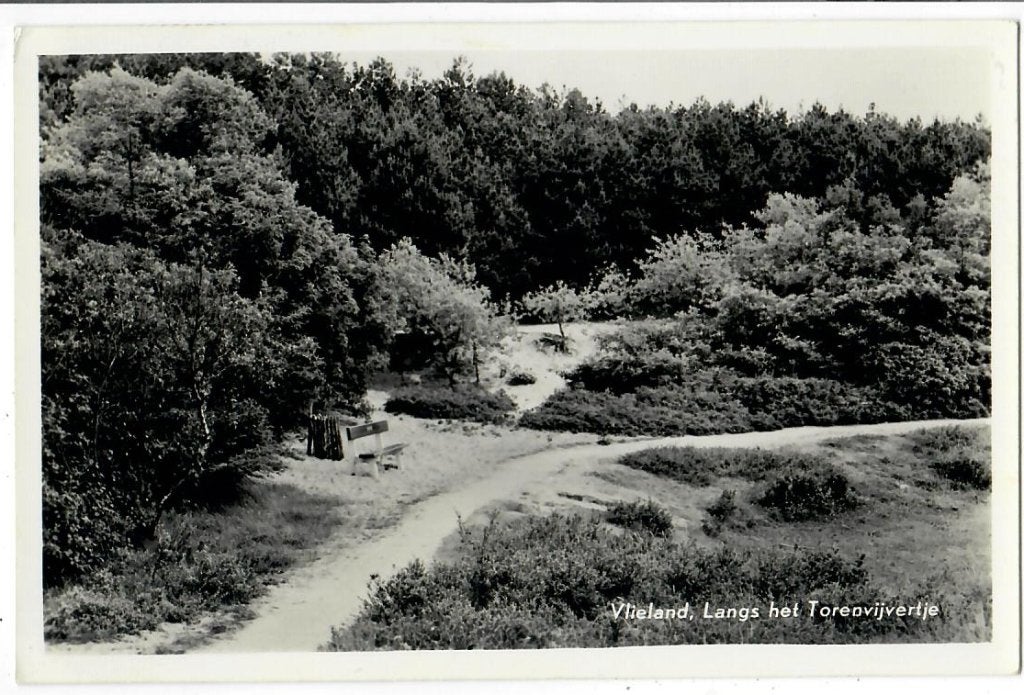 Vlieland - Langs het Torenvijvertje, Verzamelen, Verzenden, 1960 tot 1980, Gelopen, Waddeneilanden