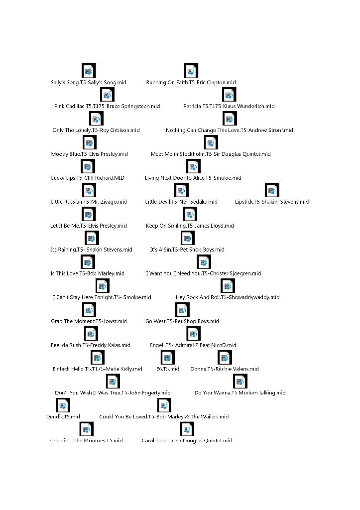 Te Koop  T5 Midi files en T5 Songstyles, Ophalen of Verzenden, Gebruikt, Overige aantallen, Overige merken