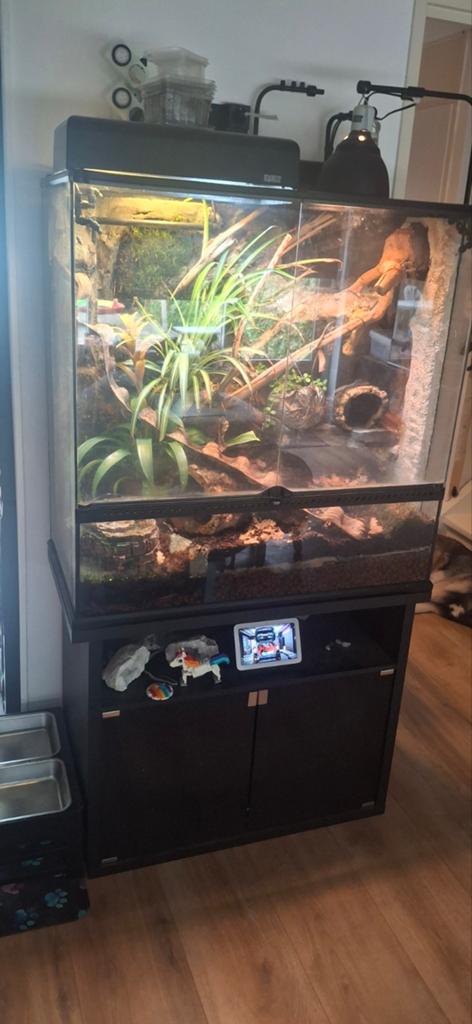 Exo terra 90x45x90 bioactive dier ready Paludarium, Dieren en Toebehoren, Ophalen, Zo goed als nieuw