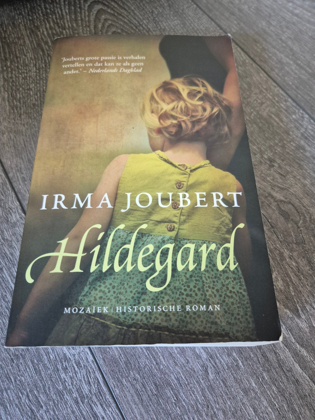 Hildegard - Irma Joubert (Historische Roman), Ophalen of Verzenden, Zo goed als nieuw, Irma Joubert