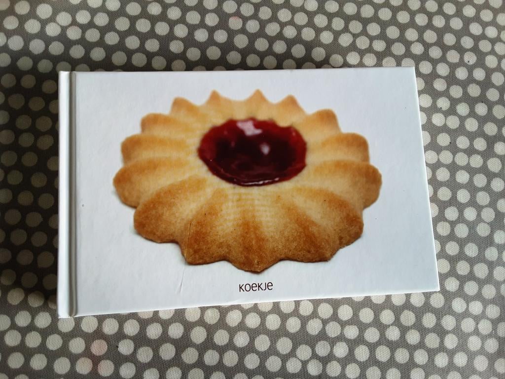 KOEKJE - Cees Holtkamp / Kees Raat, Ophalen of Verzenden, Zo goed als nieuw, Cees Holtkamp; Jonah Freud, Nederland en België