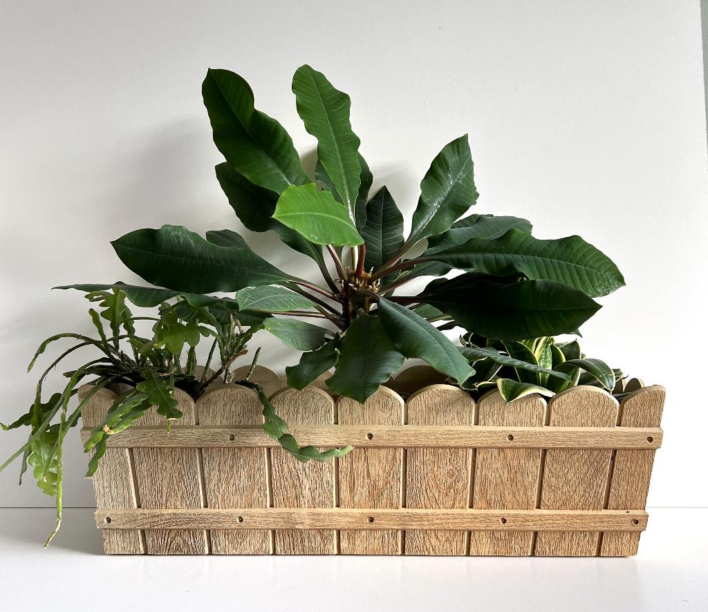 Emsa plastic plantenbak - Vintage houtlook, Tuin en Terras, Bloembakken en Plantenbakken, Gebruikt, Kunststof, Balkon, Tuin, Minder dan 30 cm