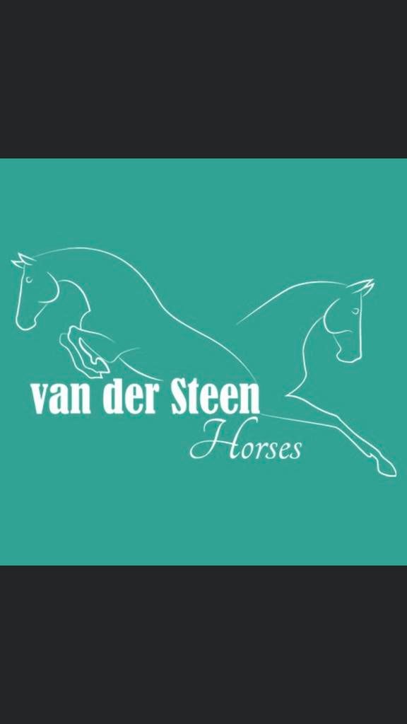 VAN DER STEEN BREEDING ZOEKT DRAAGMERRIE’S, Merrie, Niet van toepassing