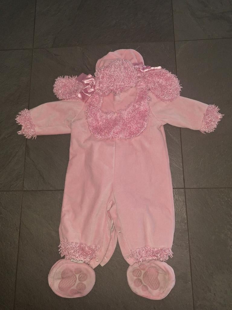 Schattig poedelpakje voor carnaval, Ophalen of Verzenden, Gebruikt, 104 of kleiner