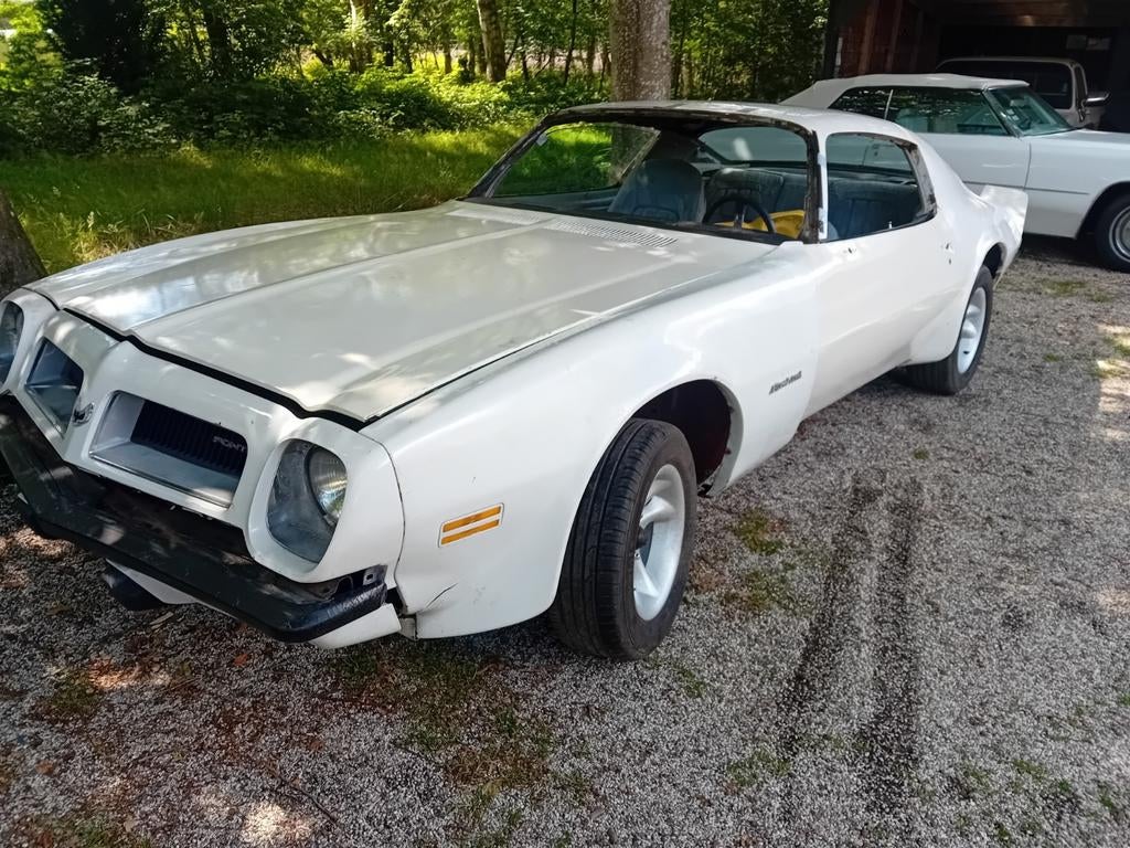 Pontiac firebird onderdelen, Auto-onderdelen, Ophalen, Pontiac, Deur