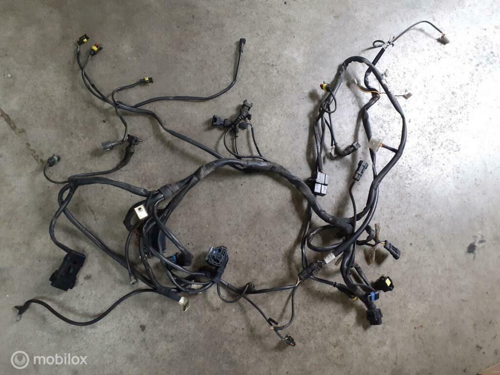 Kabelboom draadboom Monster 620ie 620, Motoren, Onderdelen | Ducati, Ophalen of Verzenden, Gebruikt