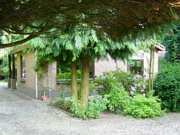Even Ontspannen, 8 personen, In bos, Wasmachine, Dorp