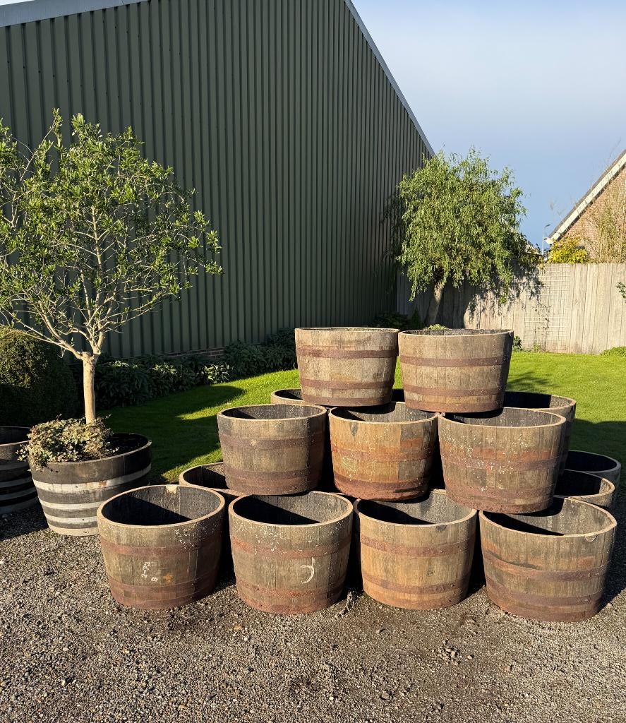 Plantenbak, Half wijnvat, Half vat, Eiken regenton Vijver, Tuin en Terras, Bloembakken en Plantenbakken, Hout, Tuin, 30 tot 60 cm