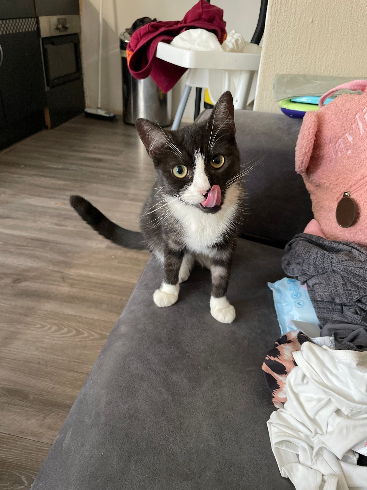 lieve poes 1 jaar oud, Dieren en Toebehoren, Poes, 0 tot 2 jaar