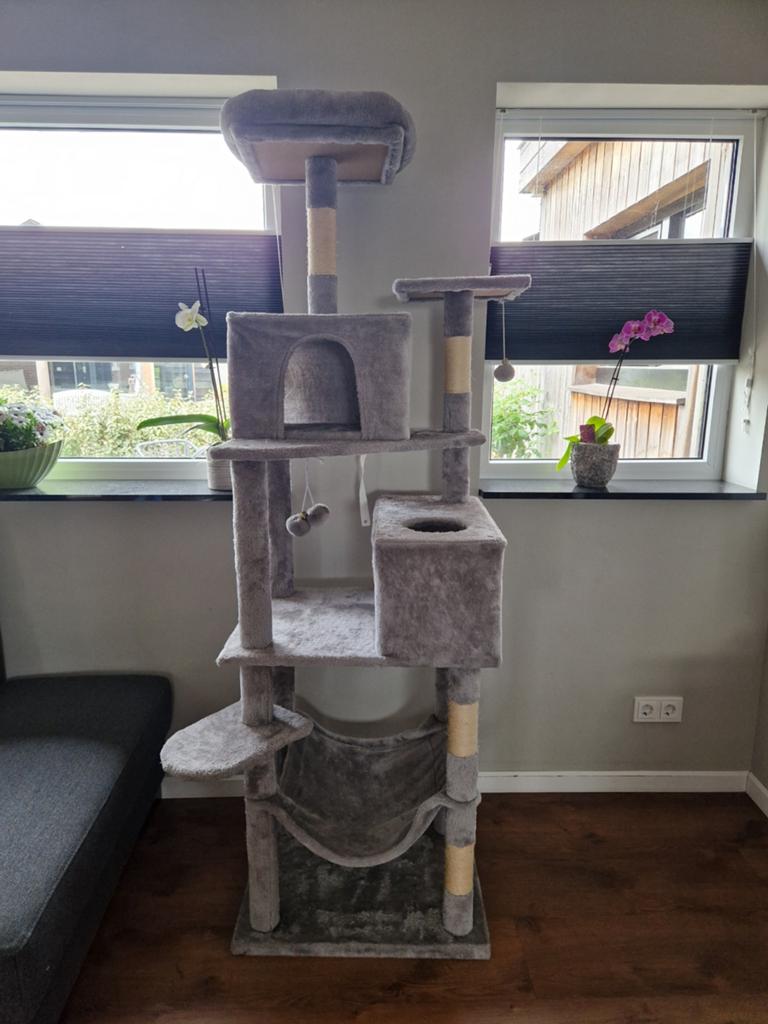 Volledig pakket kat/kitten, Ophalen, Zo goed als nieuw