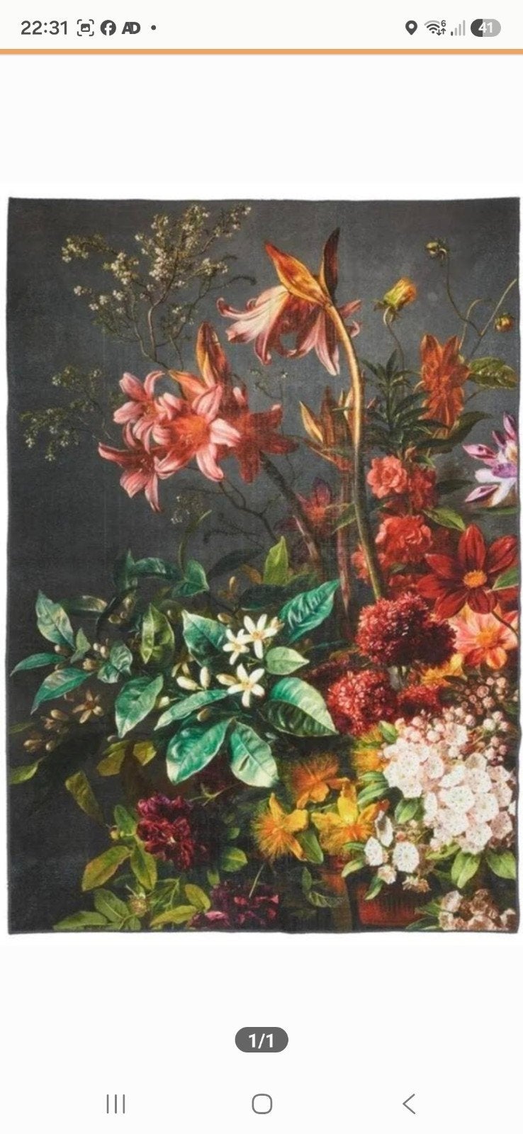 GEZOCHT: Bloemen vloerkleed Onia Kwantum, 100 tot 150 cm, Klassiek, Bloemen, Sfeervol, Groen, Ophalen of Verzenden