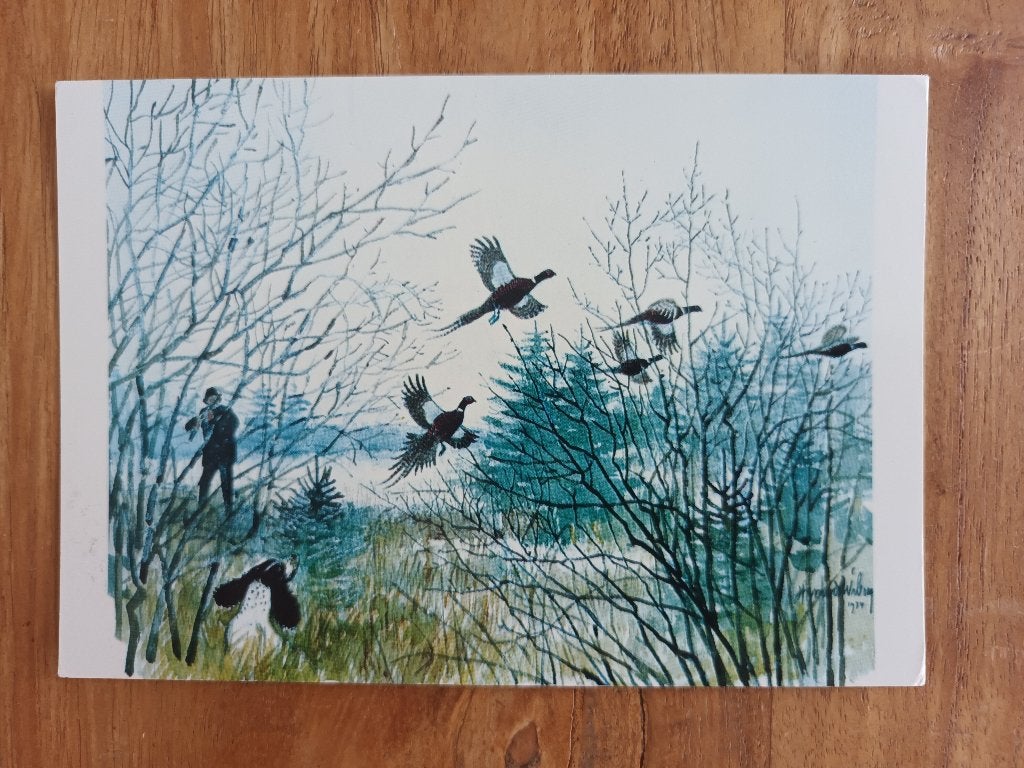 Kunstschilderskaart Fazantenjacht, Ophalen of Verzenden, 1960 tot 1980, Ongelopen, Natuur