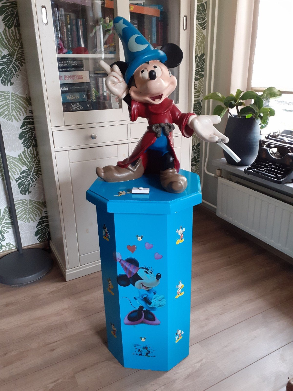 Te huur Mickey Mouse ranjafontein, Ophalen, Verjaardag