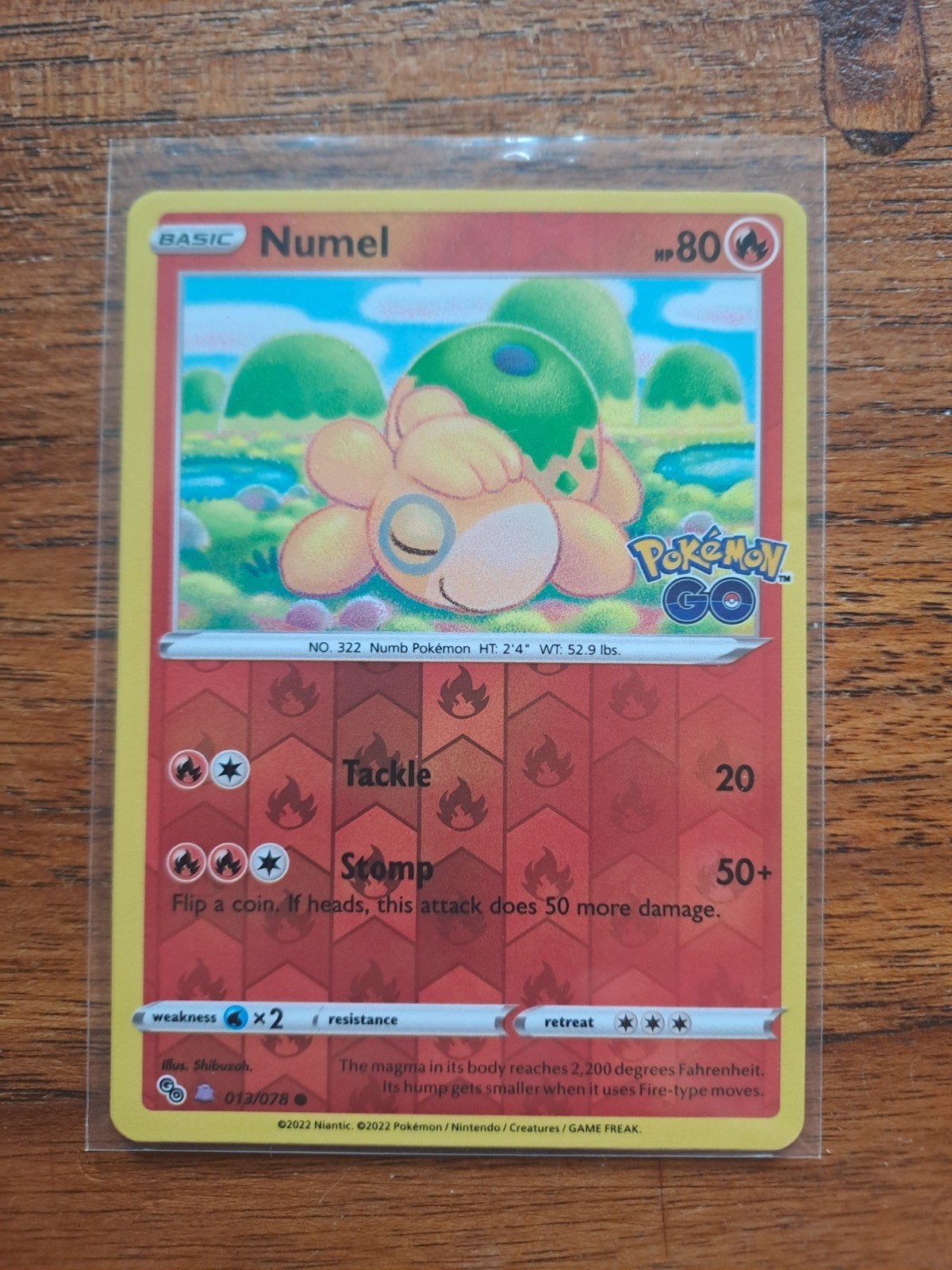 Numel Peel off ditto, Ophalen of Verzenden, Nieuw, Boosterbox
