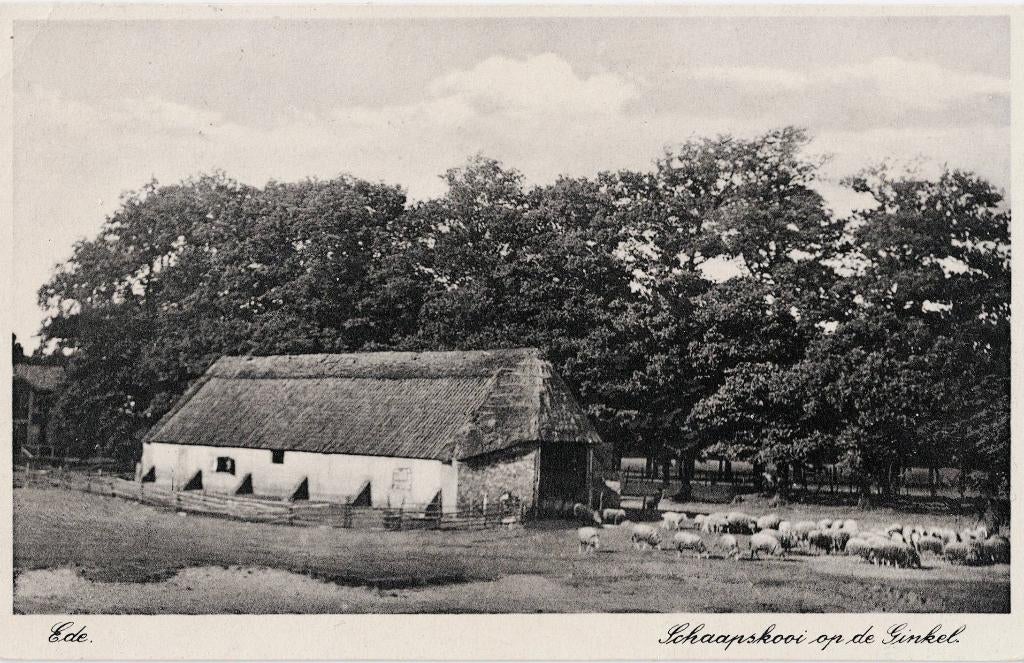 Ede -  Schaapskooi op de Ginkel. Gelopen Amsterdam 1935., Ophalen of Verzenden, 1920 tot 1940, Gelopen, Gelderland