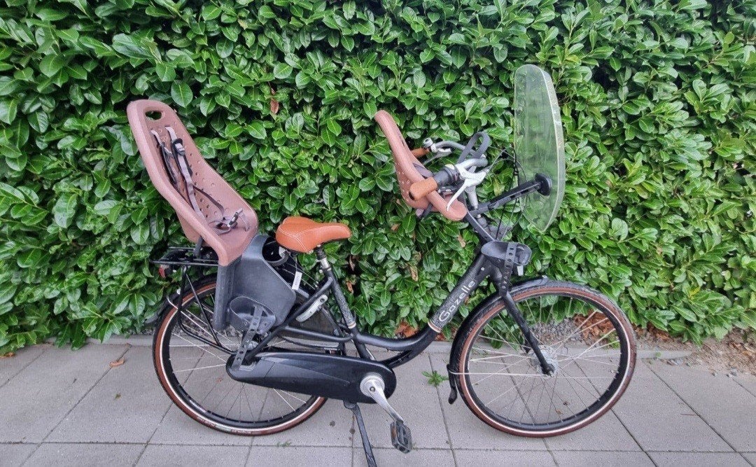 Gazelle bloom 49cm 8 Versnellingen stuurslot 2 Yepp-Zitjess, 2 zitjes, 47 tot 50 cm, Ophalen of Verzenden, Zo goed als nieuw