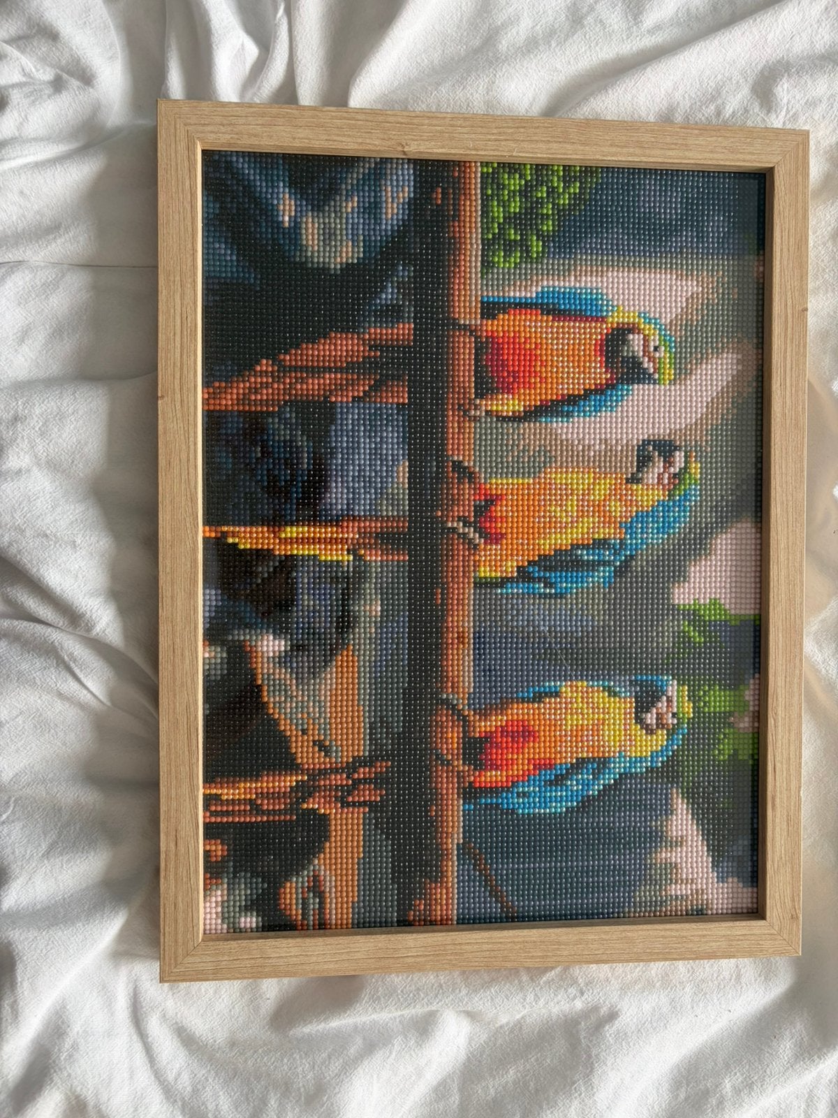 Diamond paintinf ingelijst - Papegaai, Antiek en Kunst, Ophalen of Verzenden