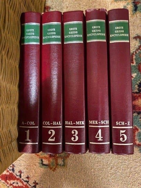 Grote gezins encyclopedie, Ophalen of Verzenden, Zo goed als nieuw, Algemeen