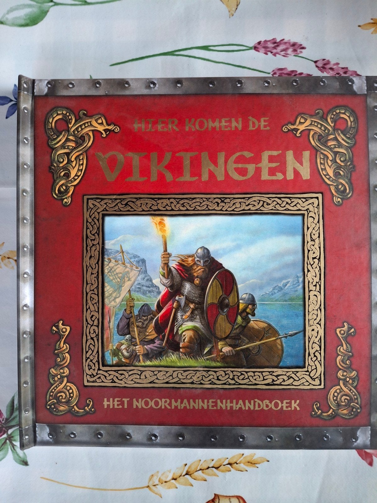 A. Berk - Hier komen de Vikingen, Boeken, Prentenboeken en Plaatjesalbums, Zo goed als nieuw, Ophalen of Verzenden