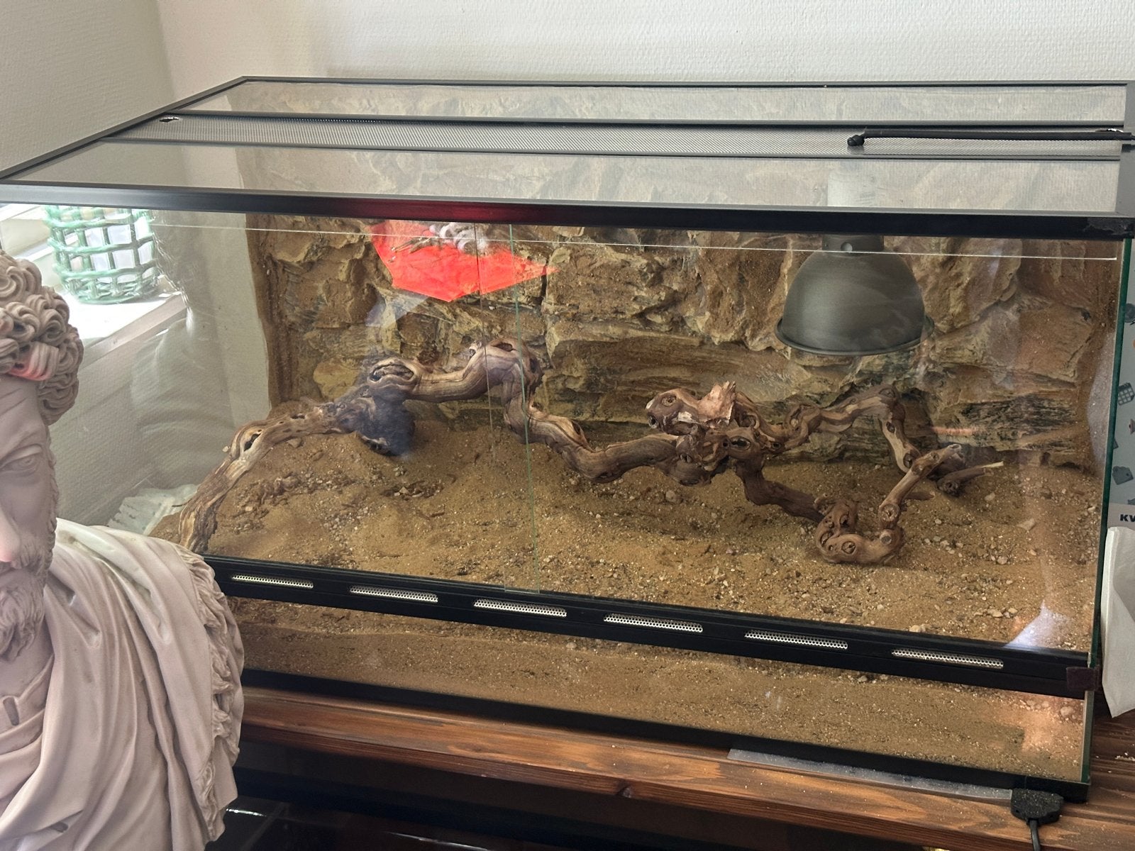 Terrarium Reptile 120x60x60, Dieren en Toebehoren, Ophalen, Zo goed als nieuw, Terrarium of Paludarium