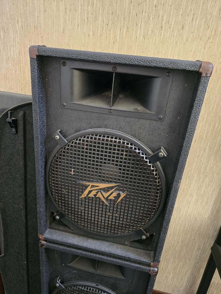 Vintage Peavey PA Speakers - Krachtig en Degelijk, Gebruikt, 120 watt of meer, Front, Rear of Stereo speakers, Ophalen