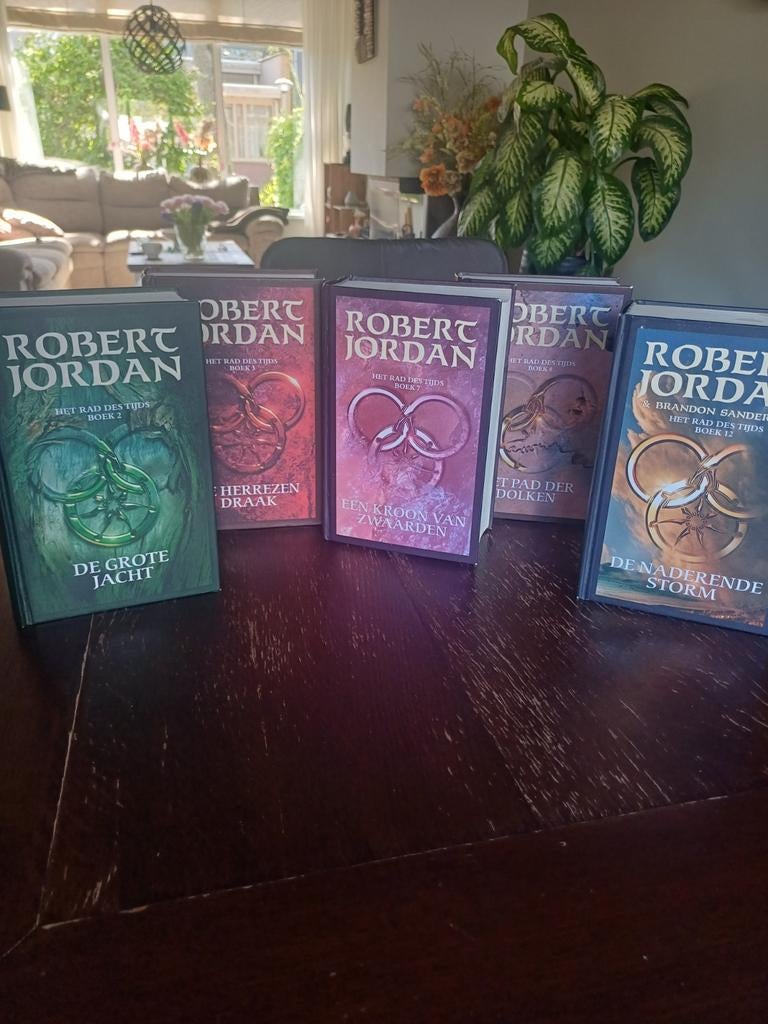 Het Rad des Tijds boeken - Robert Jordan, Boeken, Fantasy, Ophalen of Verzenden, Gelezen, Robert Jordan