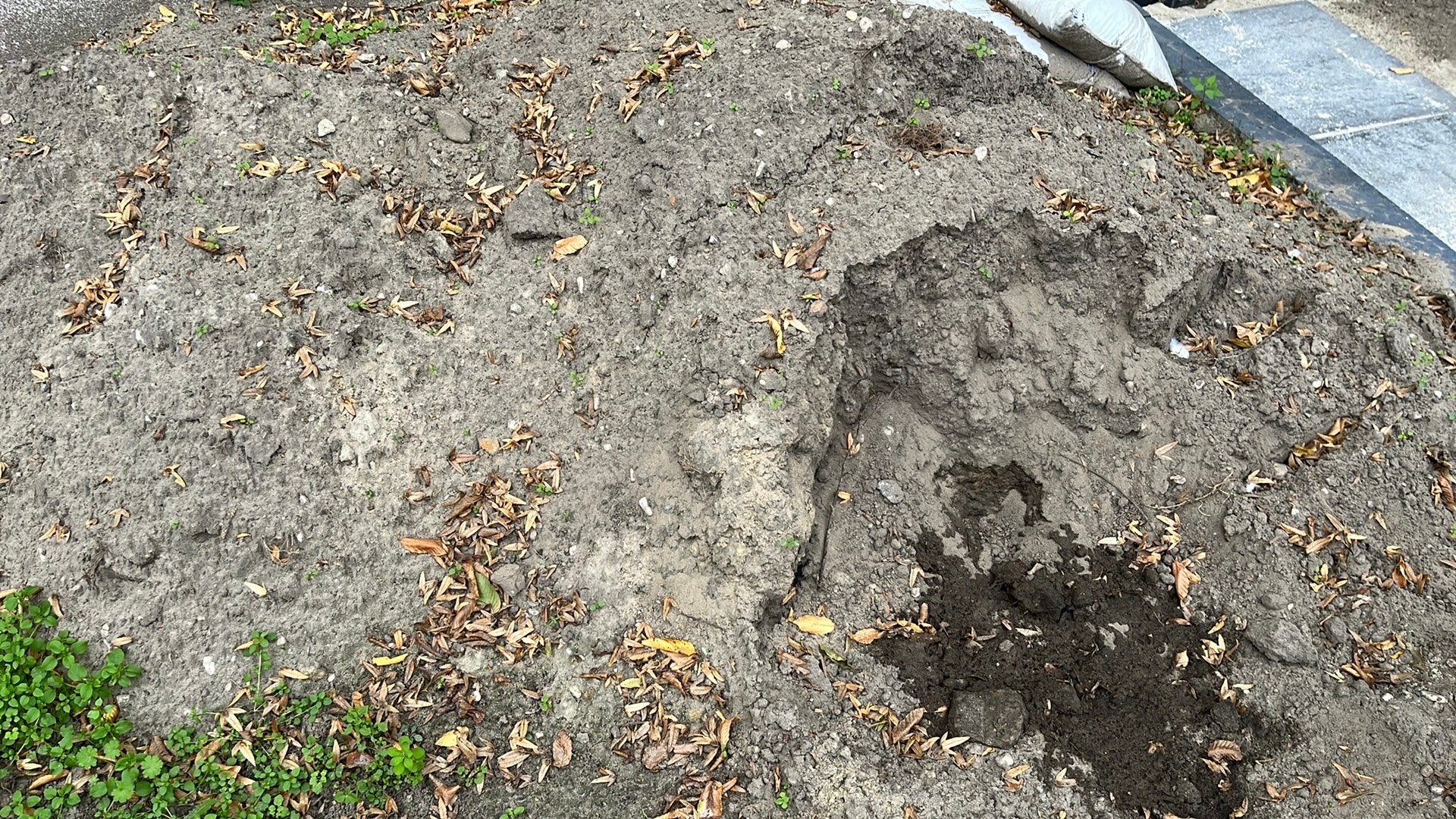 Gratis grond, tuinaarde: zsm ophalen!!, Ophalen, Tuinaarde
