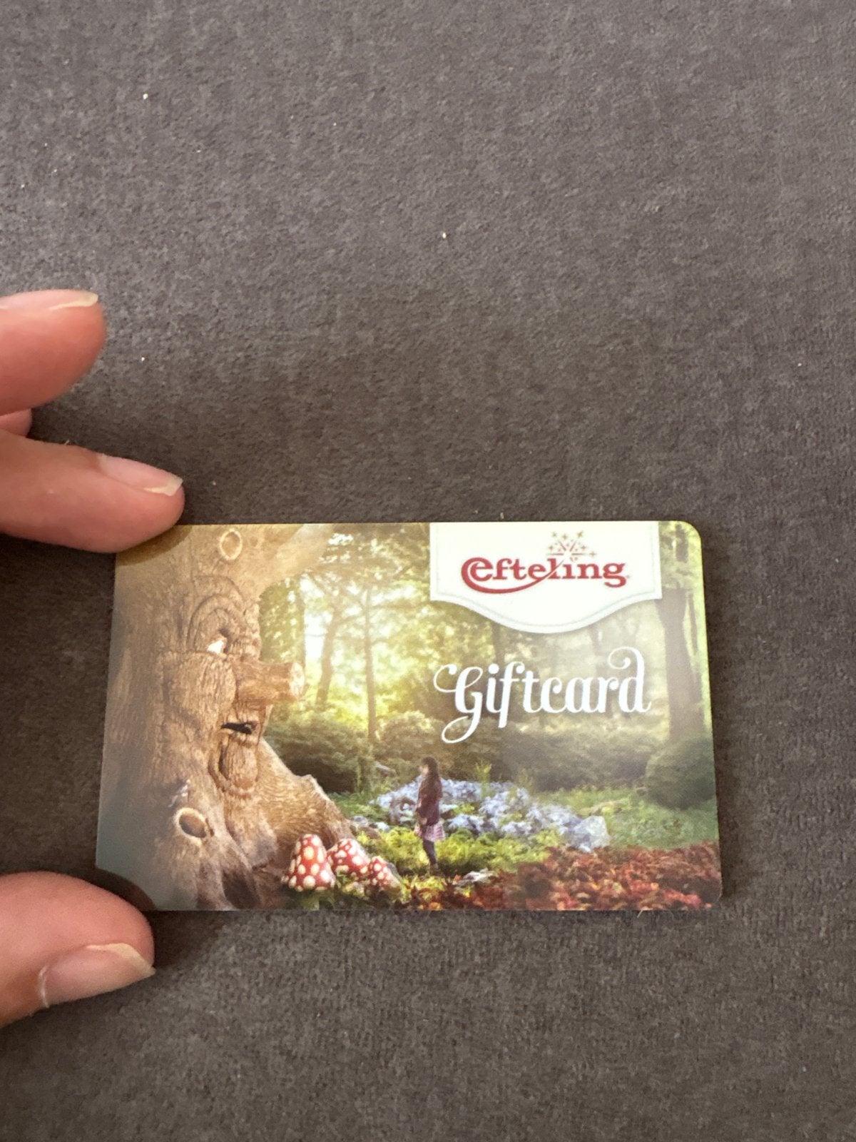 Efteling cadeaukaart, Eén persoon, Cadeaubon