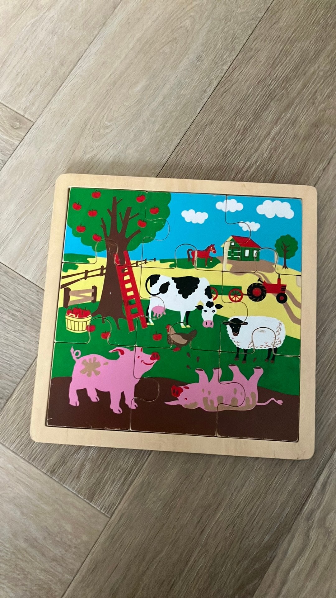 Houten puzzel, 9 stukjes, 2 tot 4 jaar, Gebruikt, Ophalen of Verzenden, Van hout