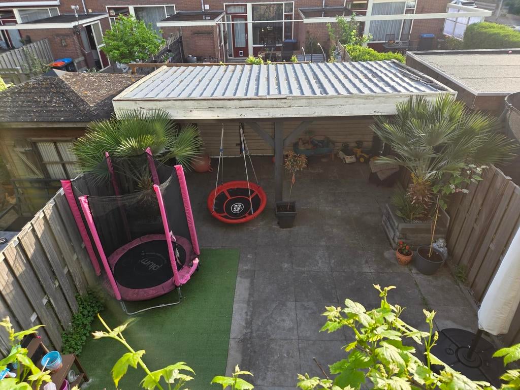 2 winterharde palmbomen, stam 1 meter hoog, Tuin en Terras, Planten | Bomen, Volle zon, Ophalen of Verzenden, Minder dan 100 cm