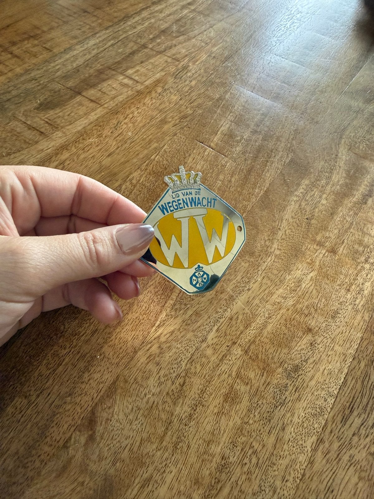 ANWB Wegenwacht embleem, Ophalen of Verzenden, Zo goed als nieuw