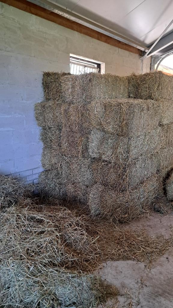 Hooi pakjes te koop, Dieren en Toebehoren, Dierenvoeding, Ophalen of Verzenden, Vee