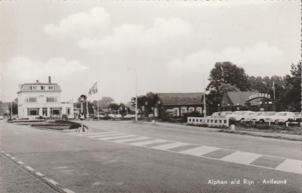 ALPHEN AAN DEN RIJN Avifauna Ingang, Verzamelen, Ansichtkaarten | Nederland, Verzenden, 1960 tot 1980, Ongelopen, Zuid-Holland