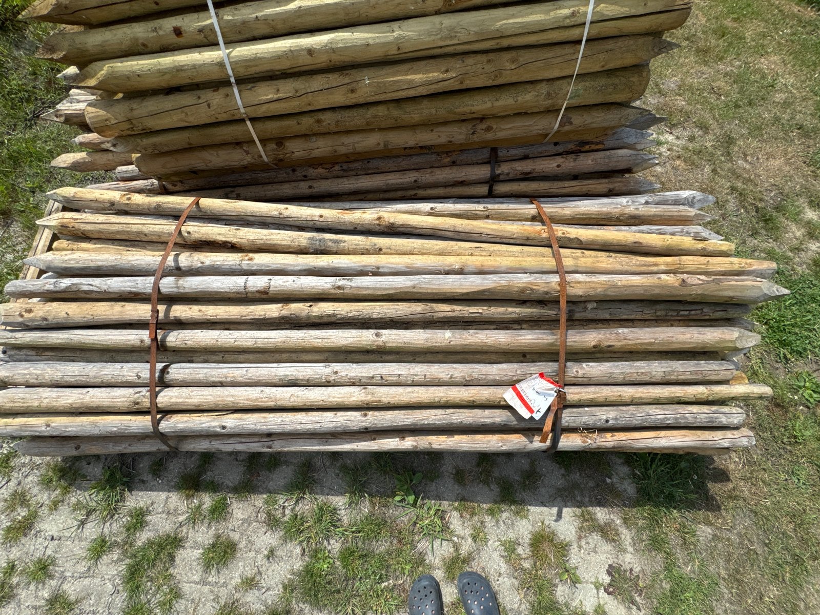 Nieuwe ronde palen 2500xØ80-60mm, Ophalen, Nieuw, 250 cm of meer, Palen