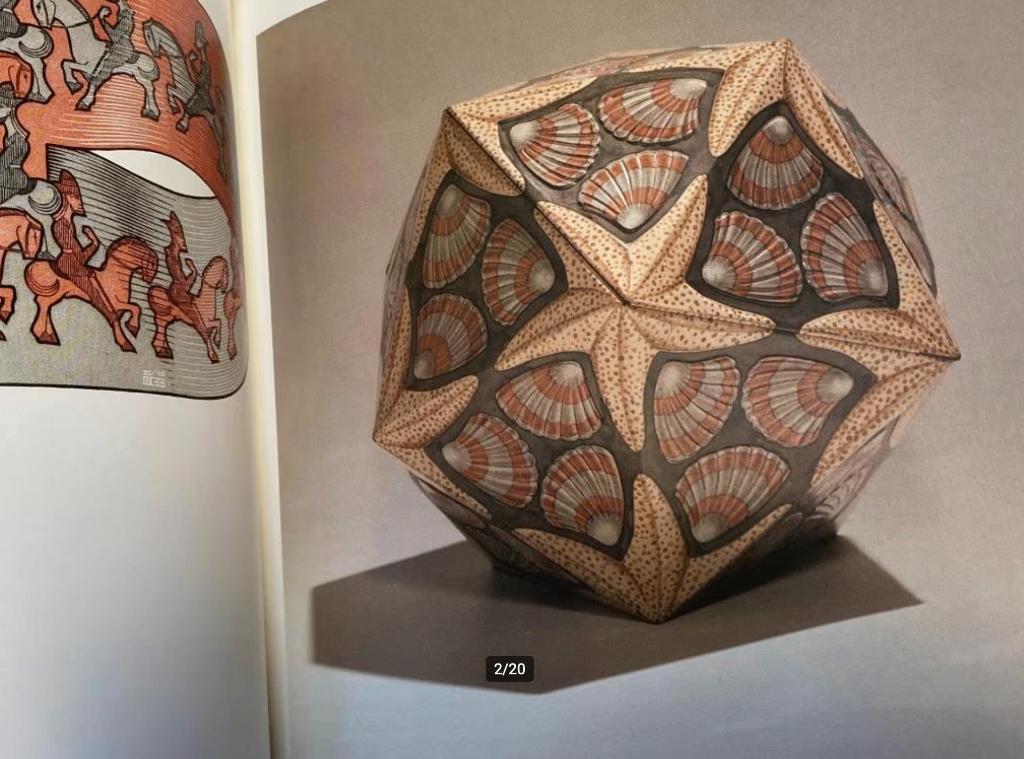 Leven en werk van M.C. Escher het levensverhaal, Ophalen of Verzenden, Zo goed als nieuw, Schilder- en Tekenkunst