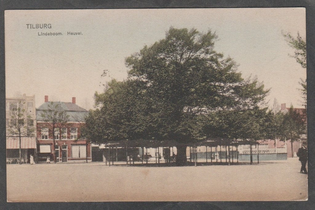 tilburg  heuvel met lindeboom, Verzamelen, Verzenden, Voor 1920, Gelopen, Noord-Brabant