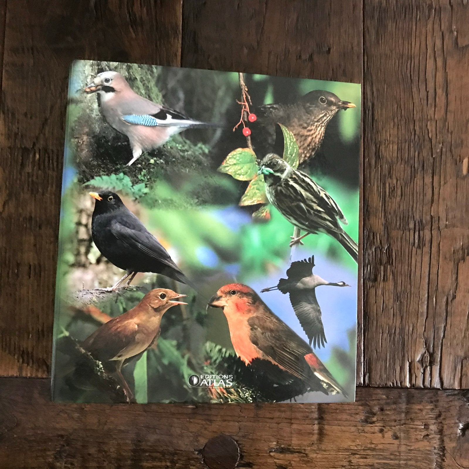 Vogelboek - Uitgebreide gids met diverse vogelsoorten, Ophalen of Verzenden, Gelezen, Vogels