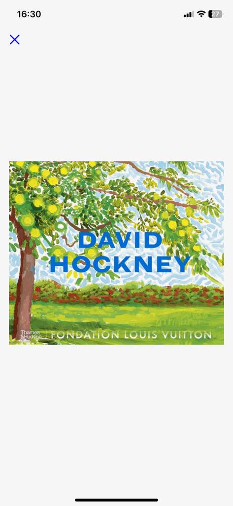 David Hockney 25, Ophalen of Verzenden, Zo goed als nieuw, Schilder- en Tekenkunst