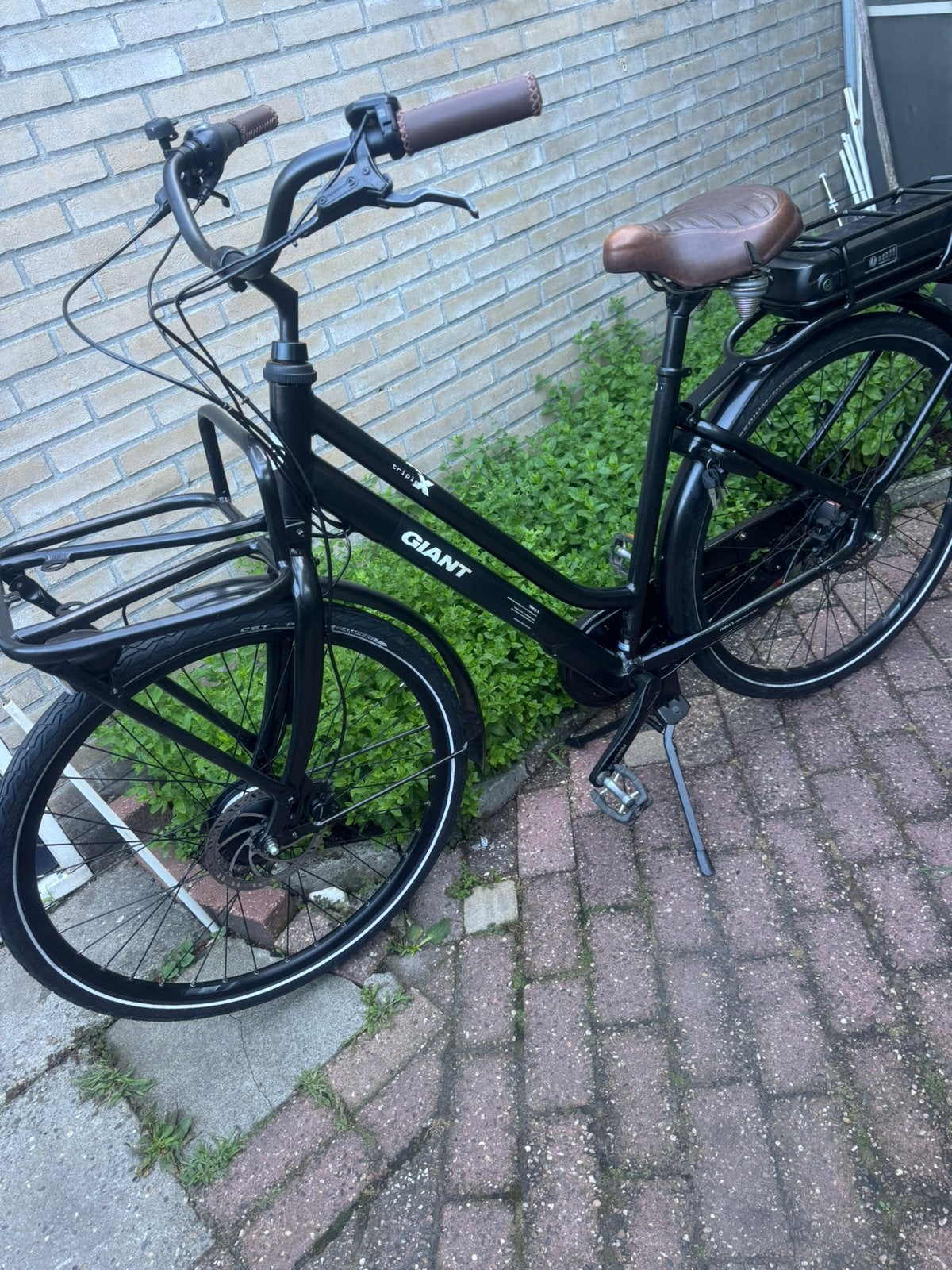 Elektrisch fiets giant triple x., Ophalen, Zo goed als nieuw, Versnellingen
