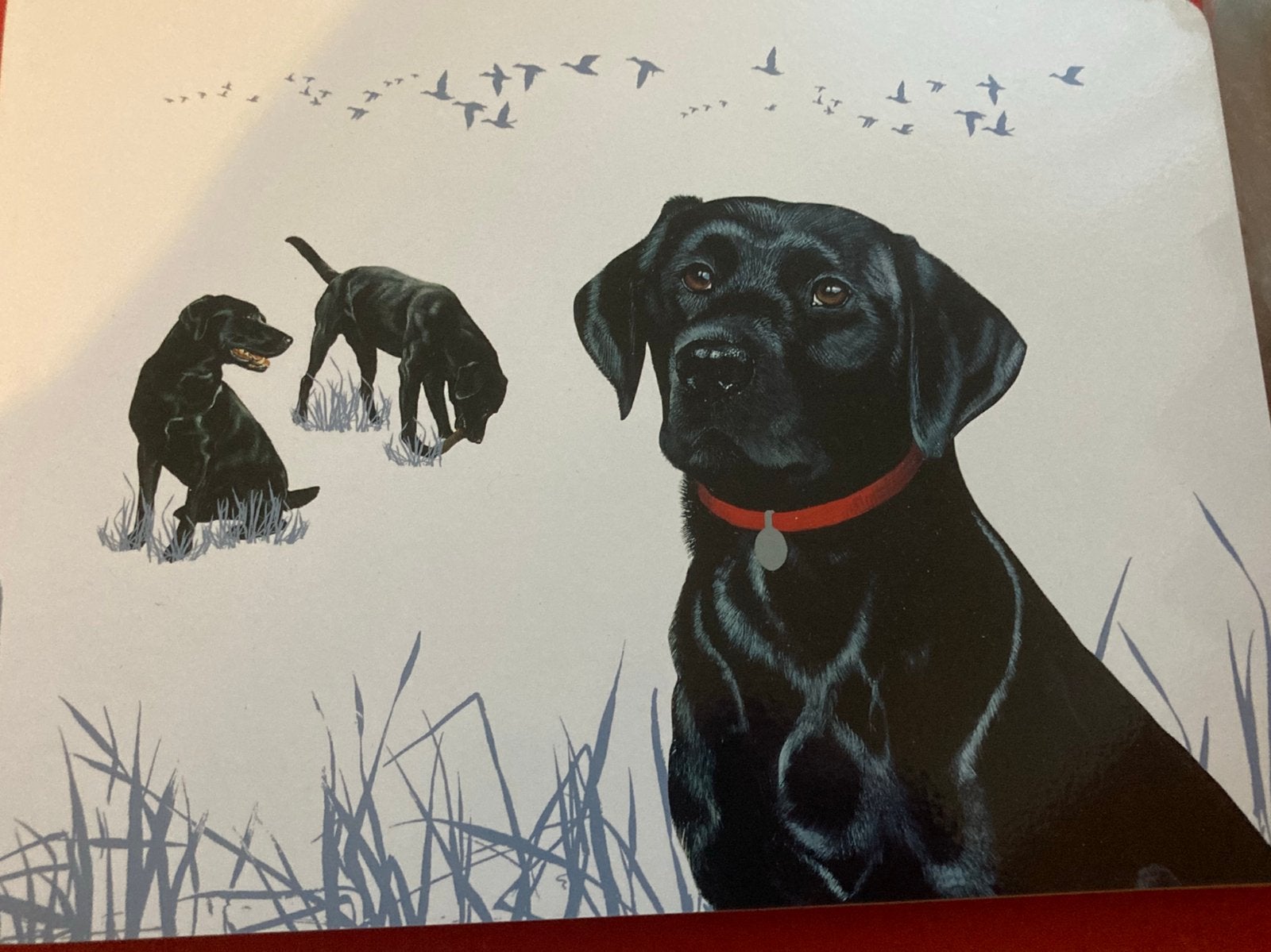 Set van 4 placemats honden, Ophalen of Verzenden