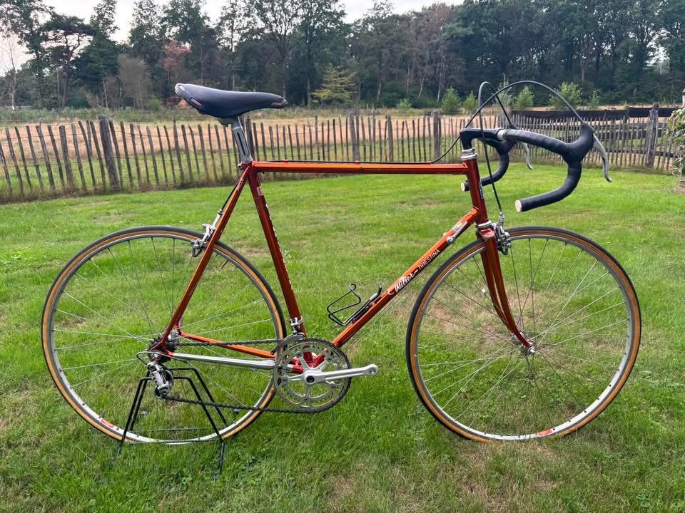 Wilier triestina 1983, Ophalen of Verzenden, Gebruikt
