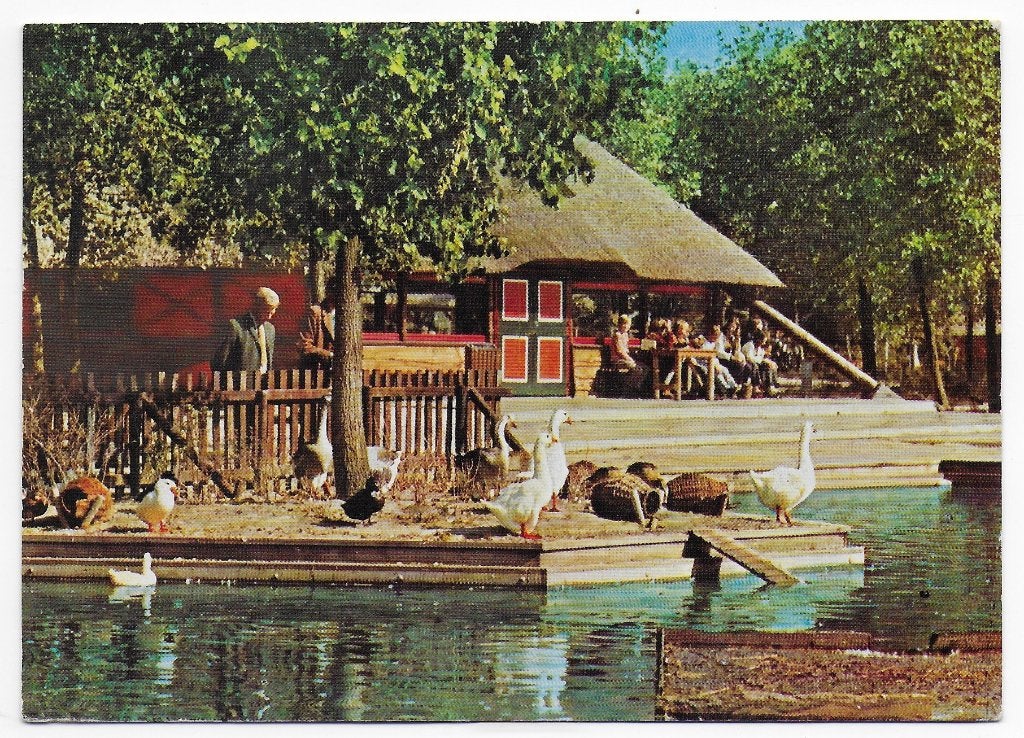 Biddinghuizen Flevohof Gelopen Ansichtkaart ( B5923), Ophalen of Verzenden, 1980 tot heden, Gelopen