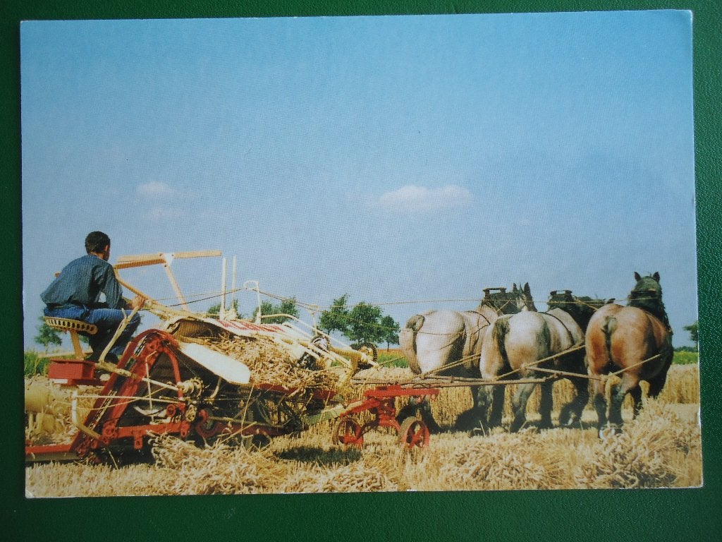 (2064) Kaart: ZEELAND, Verzenden, 1980 tot heden, Gelopen, Zeeland