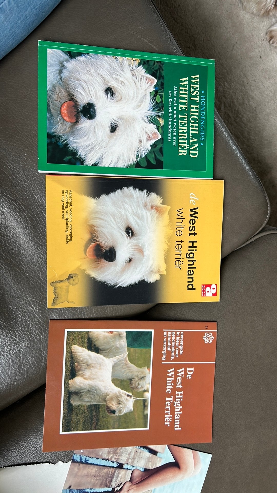 3 hondengidsen over Westhighland White Terrier (Westie), Ophalen of Verzenden, Gelezen, Honden