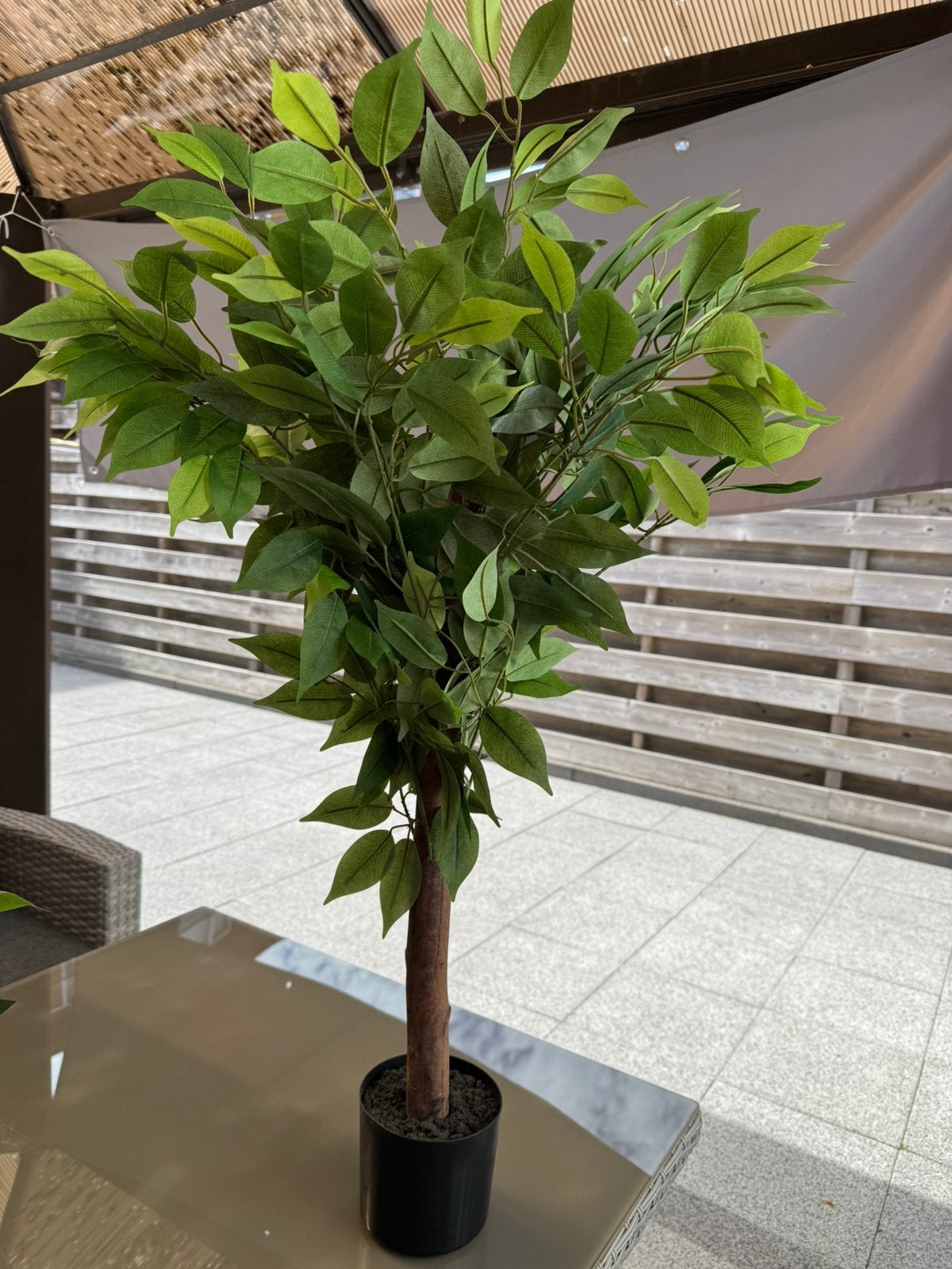 Grote Kunstplant ficus 100 cm hoog nieuw!, Ophalen, Nieuw