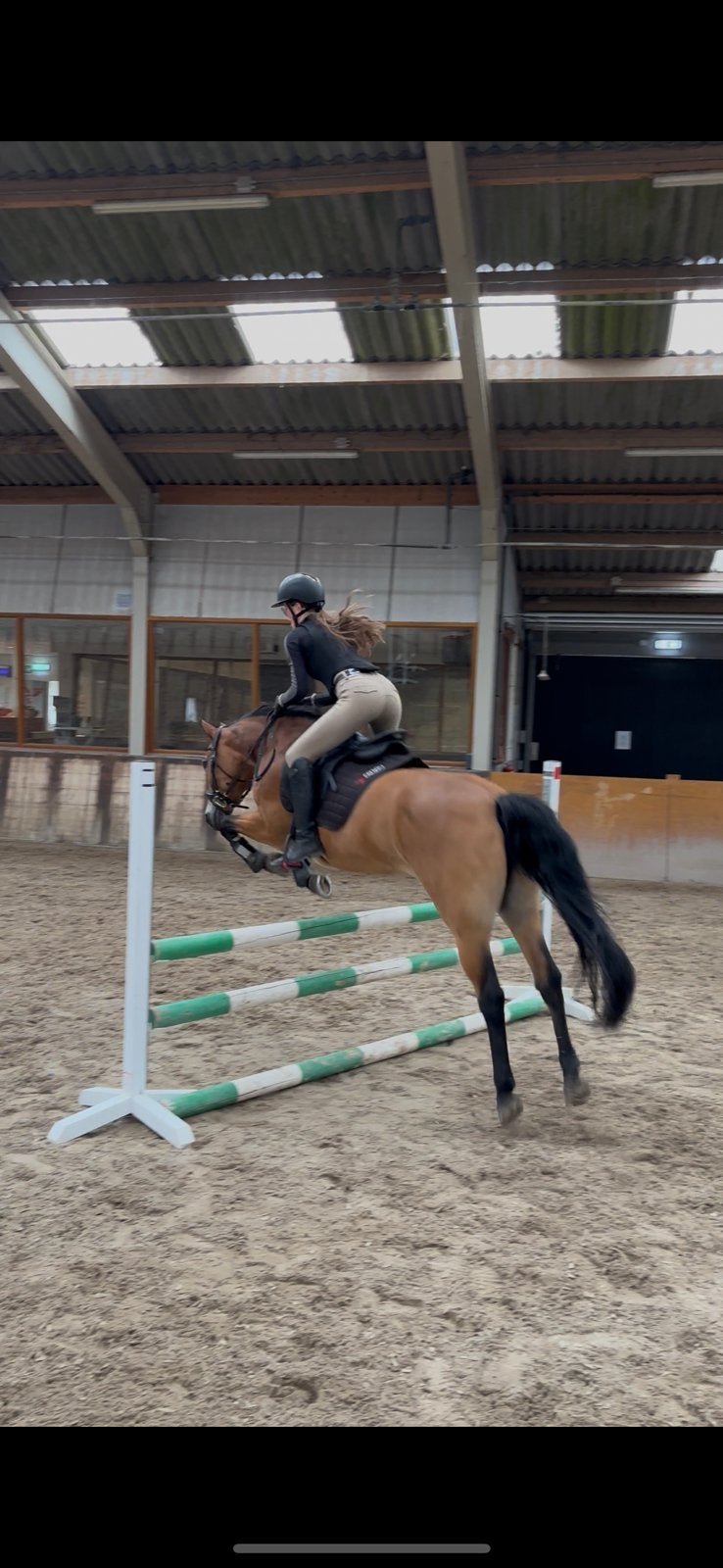 Bijrijder aangeboden/Bijrijdpaard gezocht | Omgeving Arnhem, Ophalen, Nieuw