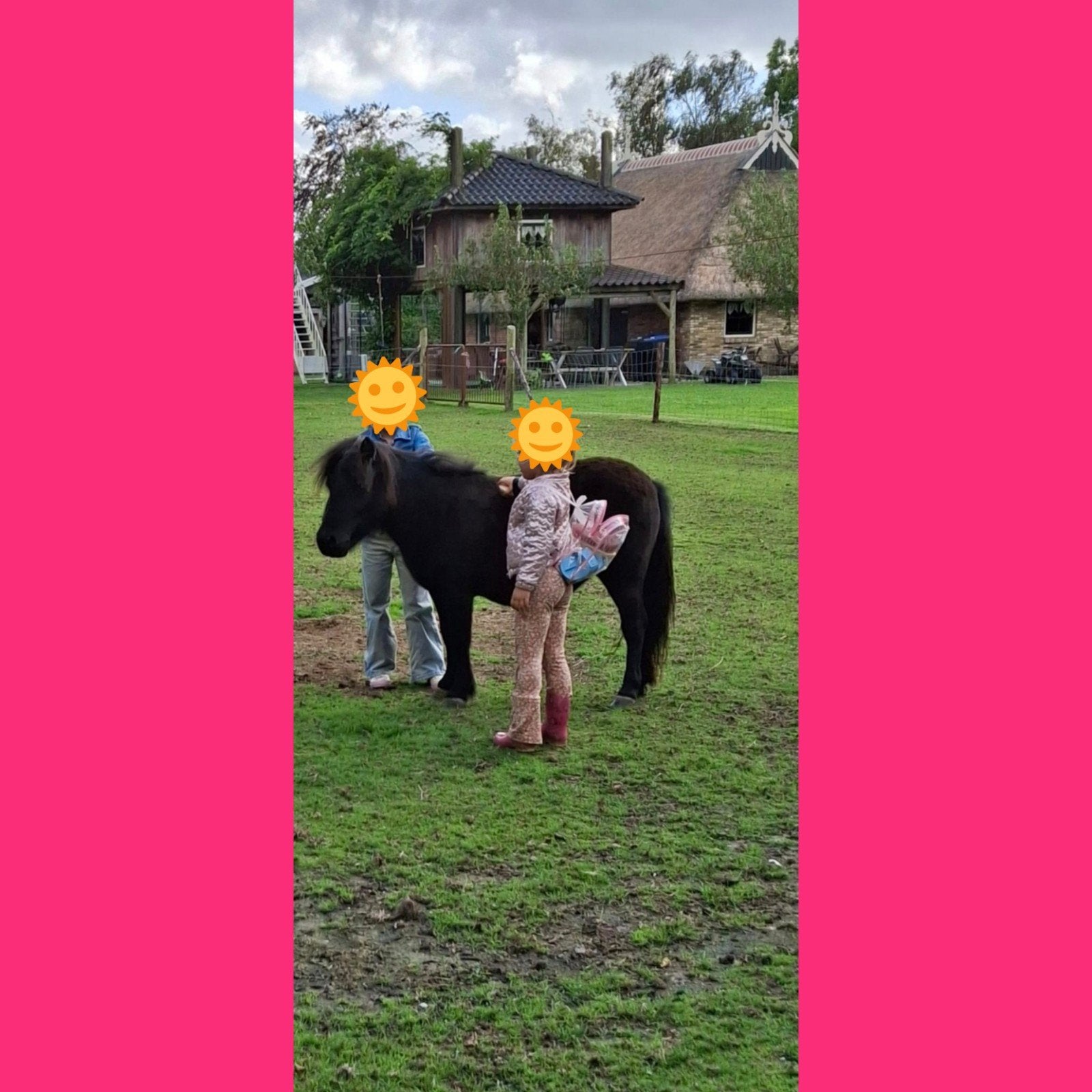 Shetlander, Dieren en Toebehoren, Merrie, A pony (tot 1.17m), 3 tot 6 jaar