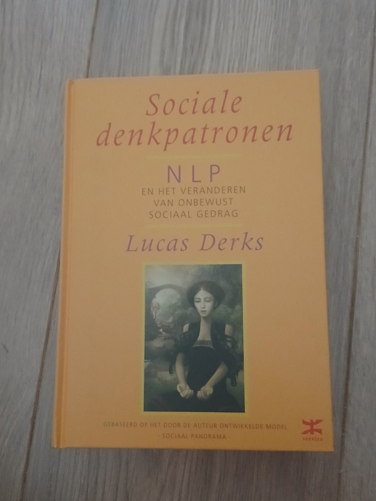 Lucas Derks - Sociale denkpatronen, Sociale psychologie, Ophalen of Verzenden, Zo goed als nieuw, L. Derks