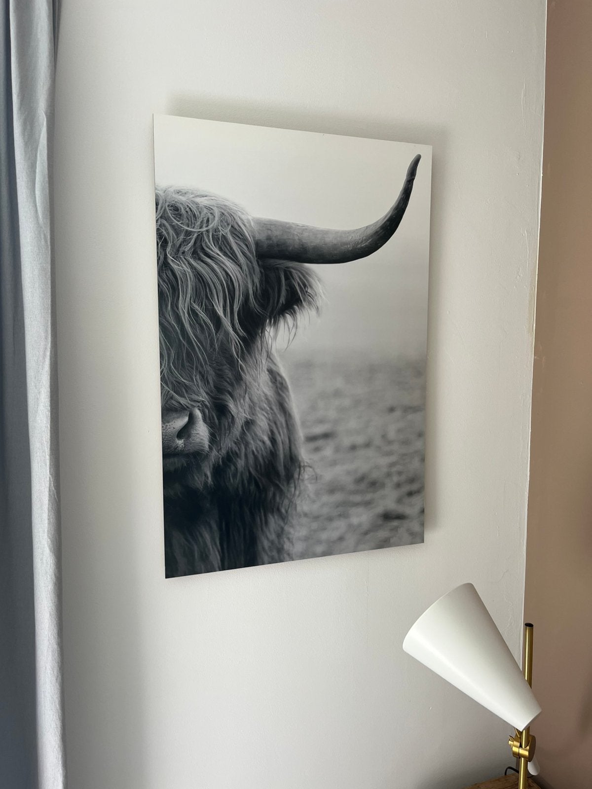 Schotse hooglander in grijstinten, Huis en Inrichting, Woonaccessoires | Lijsten, Ophalen, Zo goed als nieuw, Minder dan 50 cm