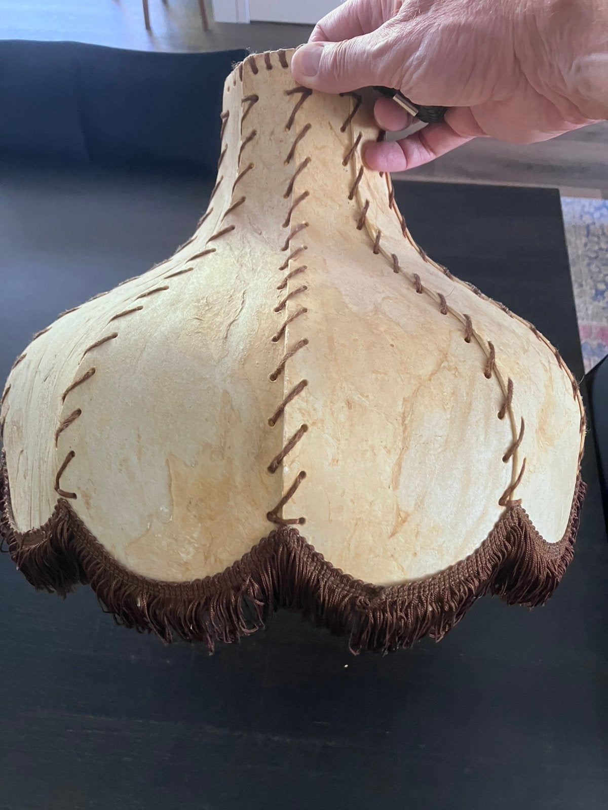 Lampenkap varkensblaas met franje, Ophalen of Verzenden, Zo goed als nieuw, Rond